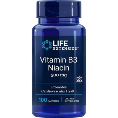 Life Extension Vitamin B3 Niacin 500mg