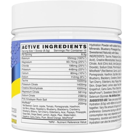 Naughtyboy Hydration Electrolyte Powder Blueberry Pineapple 1275g