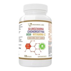 Progress Labs Glucosamine Chondroitin Msm Vitamin C Dietary Supplement 120 Capsules