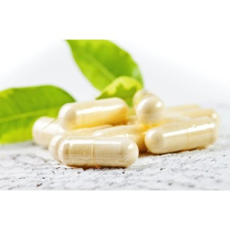 Medverita Ashwagandha Extract 500mg Per Capsule