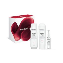 Goldwell Dualsenses Rich Repair Duo Pack Gift Set