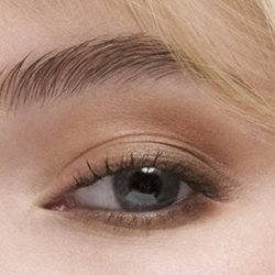 Estee Lauder The Essential Eyeshadow Quad Longlasting Palette Shape Sculpt