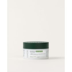 Luxol Density Mask Hair Mask