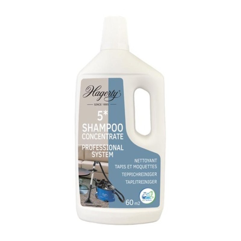 Hagerty Carpet Cleaner 5 60 M2