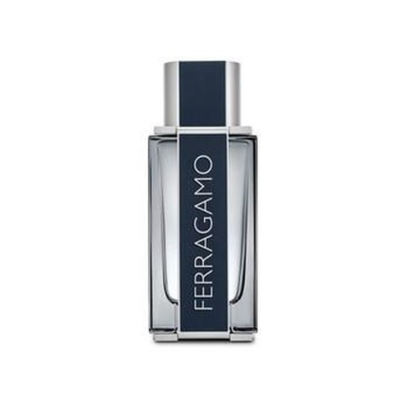Ferragamo Pour Homme Eau De Toilette 100 Ml
