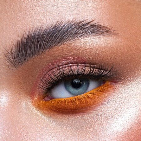 Profusion Cosmetics Floral Inspired 5 Shade Matte Eyeshadow Palette