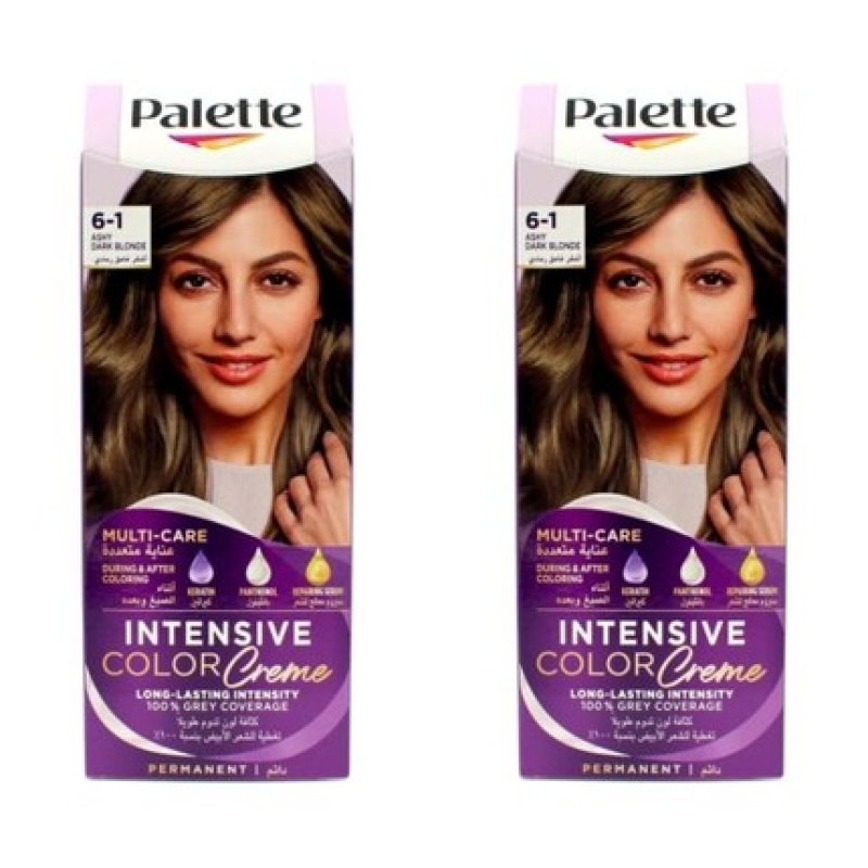Schwarzkopf Palette Intensive Color Creme 6-1 Ashy Dark Blonde