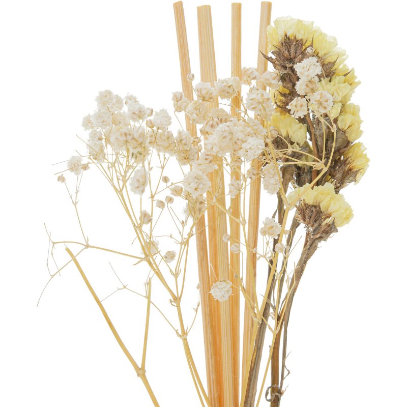 Atmosphera Flora Fragrance Diffuser 100ml