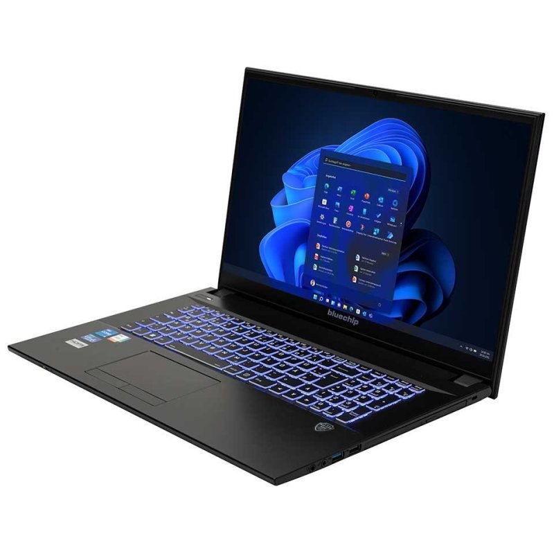 bluechip TRAVELline B17W27 Intel Core™ i5 i5-1335U Ordinateur portable 43,9 cm (17.3") Full HD 16 Go DDR4-SDRAM 500