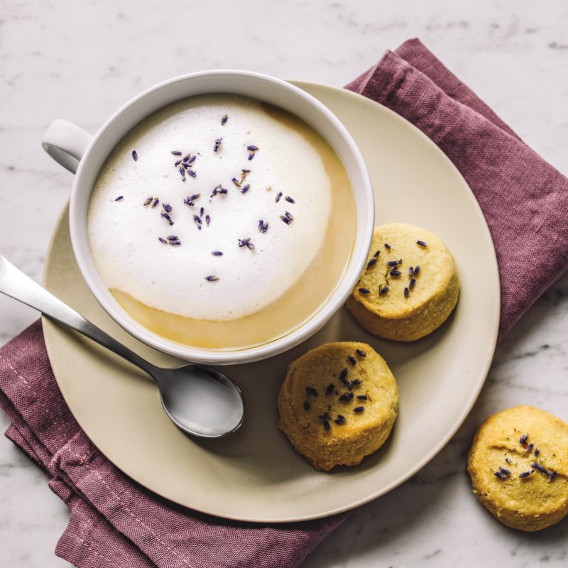 Ninja KT200EU bouilloire 1,7 L 3000 W Noir