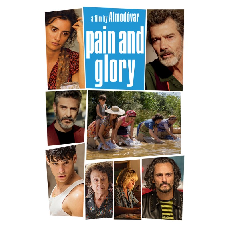 Sony Pictures Pain And Glory DVD