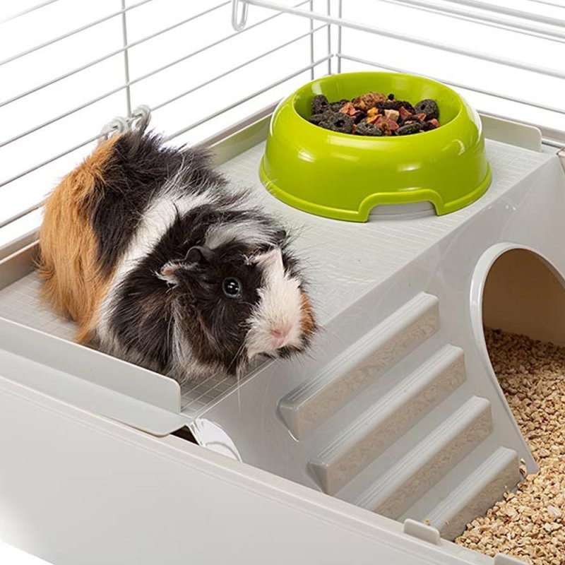 Ferplast Cavie 80 Guinea pig White