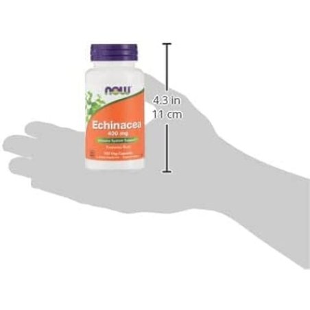 Now Foods Echinacea Purpurea Root 400mg Herbal Supplement 100 Capsules