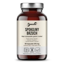 Panaseus Calm Stomach Digestive Support 50 Capsules