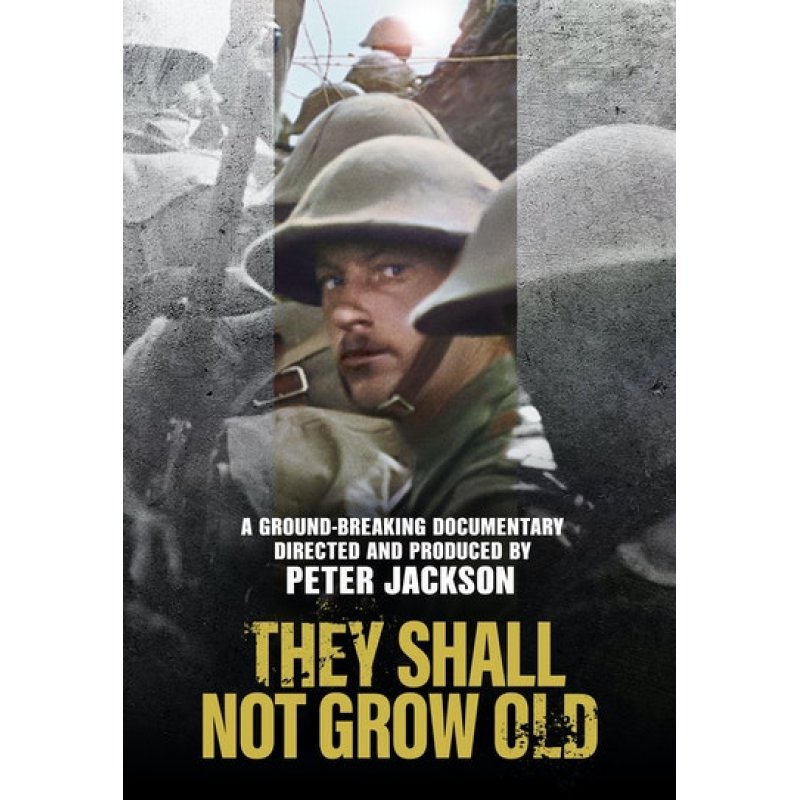 SF Studios N095927DSP01 movie/video DVD English