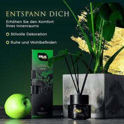 Erla Pure Air Fragrance Sticks 100ml Room Freshener