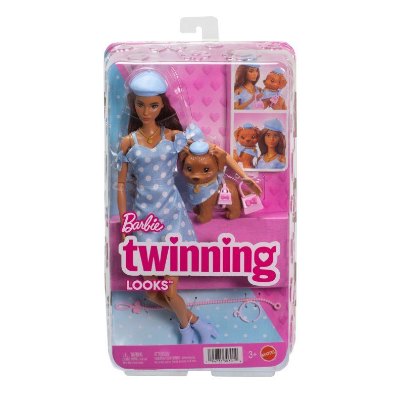 Barbie Twinning Looks Doll and Accessories