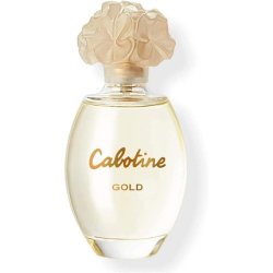 DYAL Unisex Adults CABOTINE Gold EAU DE Toilette 100ml Vaporizer