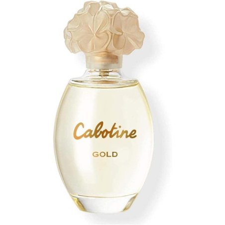 DYAL Unisex Adults CABOTINE Gold EAU DE Toilette 100ml Vaporizer