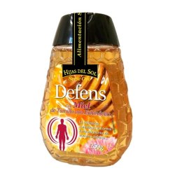 Ynsadiet Functional Thyme Honey- Echinacea Defensas, 250 G