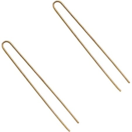 Eurostil 20 Hairpins, Black, Unique, Standard Estandar One Color
