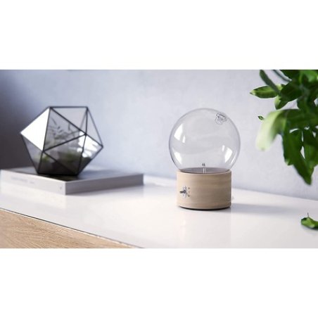 Diffuser Bull Bubble