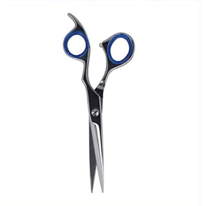 Zainesh Professional Silver and Blue Metal Scissors 7 Inches - Standard