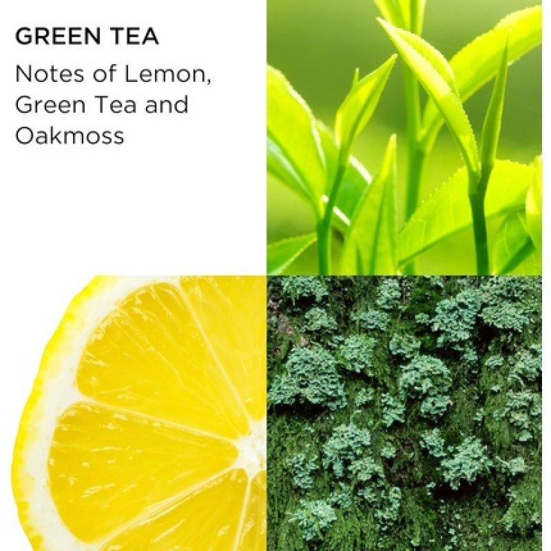 Elizabeth Arden Green Tea Scent Spray 100ml 2-Piece Gift Set for Women