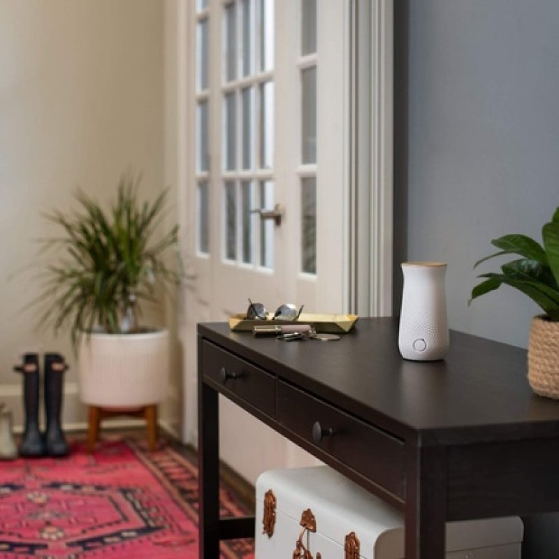 Glade Sense And Spray Refills, Automatic Air Freshener Refills For Home, Apple