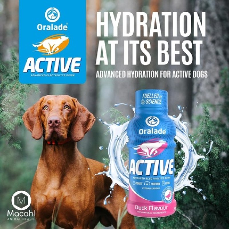 Oralade Active for Pets 100% Natural Duck Flavor Advanced Electrolyte