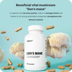 Vilgain Lion's Mane Vital Mushroom with 30 Polysaccharides Support