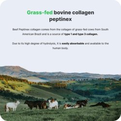 Vilgain Collagen Complex Beauty with Hyaluronic Acid for Skin, Hair & Nails