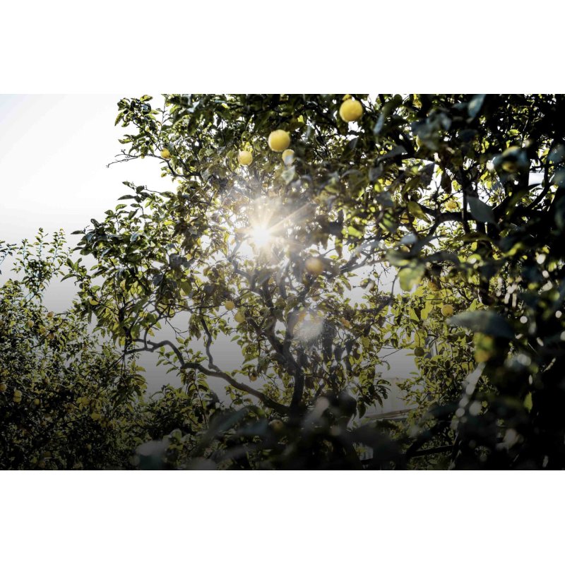 Dior Eau Sauvage Eau De Toilette 200ml