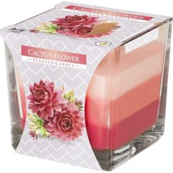 Tricolor Scented Jar Candles, Scent:Cactus Blossom