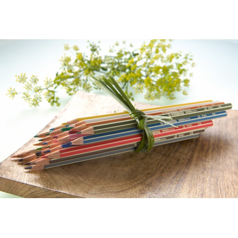 STABILO GREENcolors ARTY Multicolour 24 pc(s)