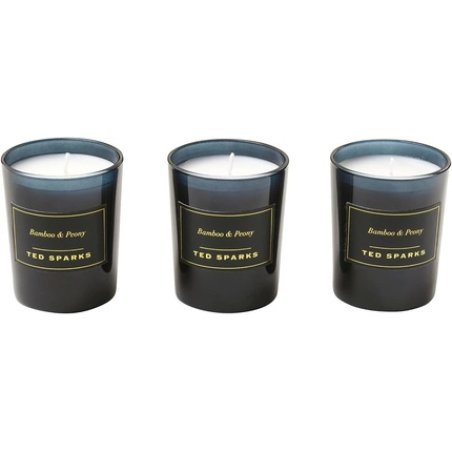 Ted Sparks Mini Candle Gift Set Bamboo & Peony Scented Candles in Glass