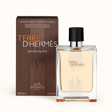 Hermes Terre d' Eau de toilette 100 ml Hommes