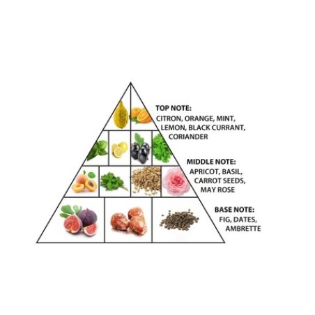 Al Haramain Natural Forest Perfume for Women and Cologne for Men - Unisex