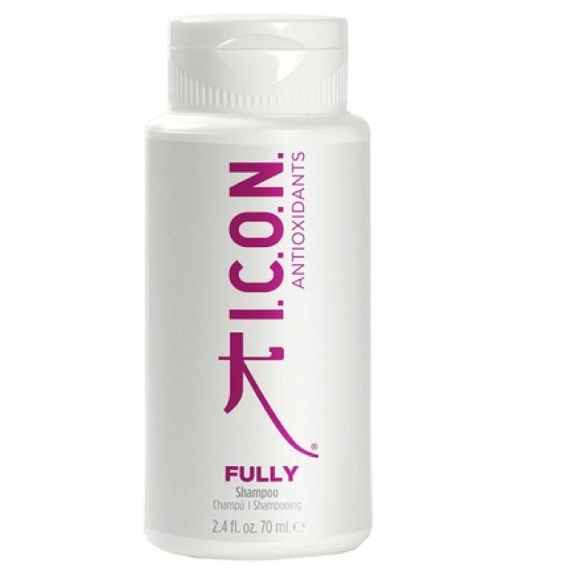 Icon Fully 70 Ml Hair Styling Product