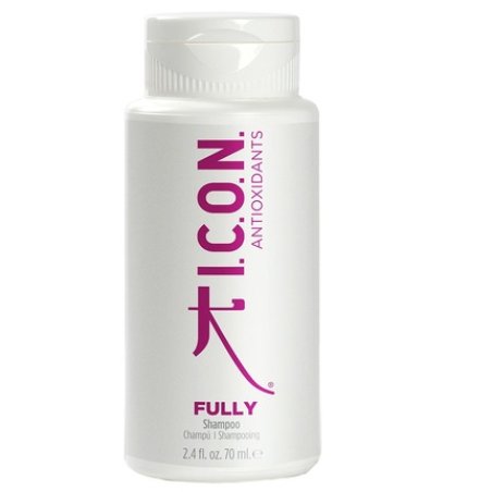 Icon Fully 70 Ml Hair Styling Product