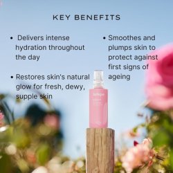 Jurlique Rare Rose Lotion 50ml