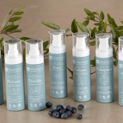 La Saponaria Melissa Moisturizing Face Cream 50ml