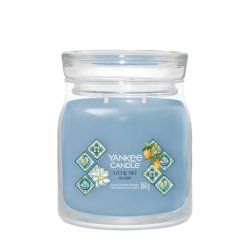 Yankee Candle Azure Sky wax candle Round Blue, Transparent 1 pc(s)