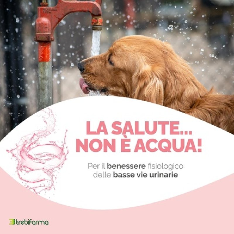 Cystophyto 3BF Pasta Supplement for Dogs/Cats Kidney/Urinary Support 30g - Trebifarma