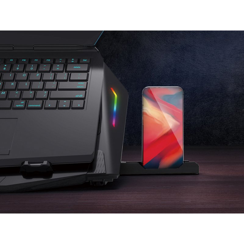 CONCEPTRONIC 2-Fan USB-A2.0 Laptop-Kühlpad 40Kg RGB 17" sw