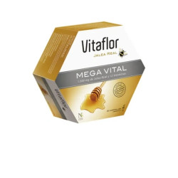 Vitaflor Vitaflor Mega Vital 20 Vials 200ml