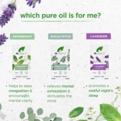 Dr Organic Lavender Essential Oil 100% Pure & Natural - Soothe, Calm & Balance