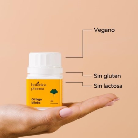 Ginkgo B. 500mg 60 Capsules