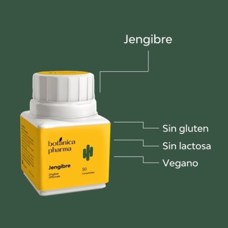 Botanicapharma Ginger 500mg 50 Tablets