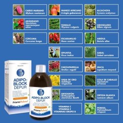 Prism Natural Fat Block Depur Regenerating Solvent 500ml